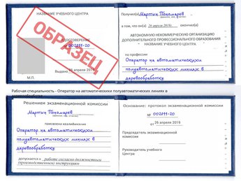 Обучение Оператор на автоматическихи полуавтоматических линиях в деревообработке